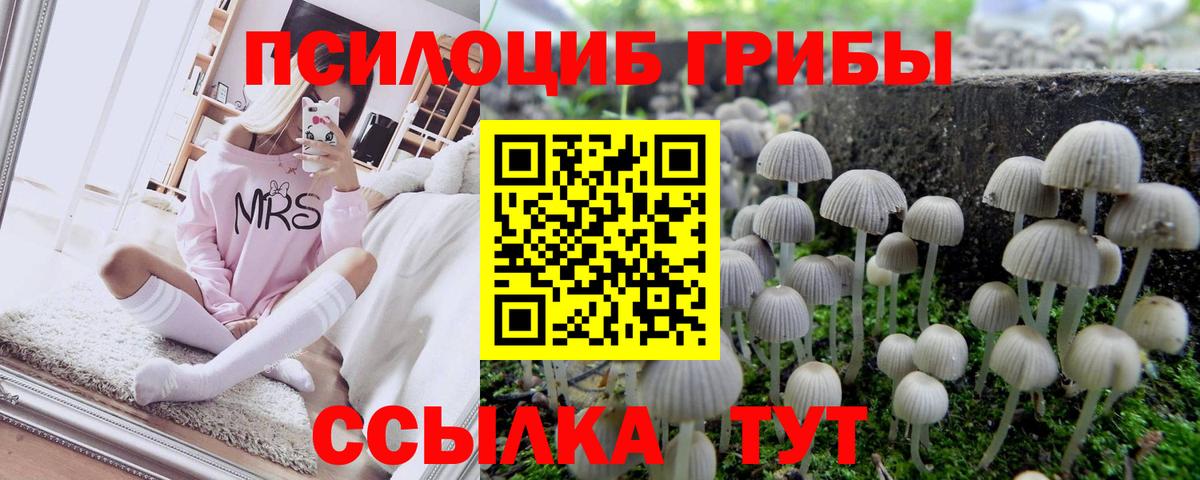 Лянтор  Псилоцибиновые грибы мицелий  Галлюциногенные грибы MAGIC MUSHROOMS  Вход с VPN 